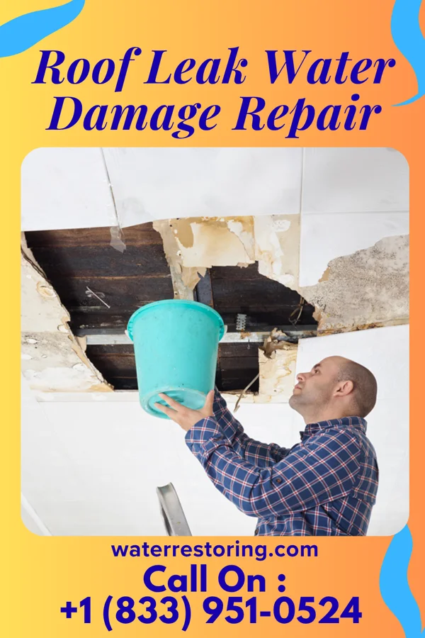 Roof Leak Water Damage Repair in Hattiesburg, MS